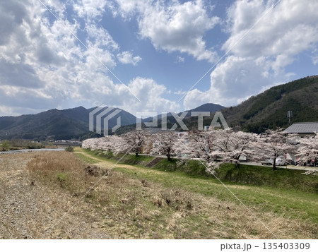 春の上山の橋の上からみた風景 135403309