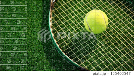 Balancing yellow tennis ball on green racket over grass court with financial data, copy space Balancing yellow tennis ball on green racket over grass court with financial data, copy space 135403547