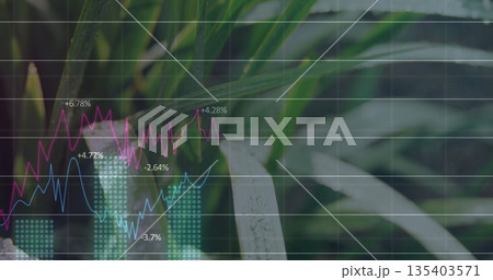 Overlaying financial chart onto tropical leaves, showing magenta and light blue lines and teal bars 135403571