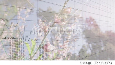 Merging double-exposure pink blossom branch with grid dots and line graph in orchard, percentages Merging double-exposure pink blossom branch with grid dots and line graph in orchard, percentages 135403573