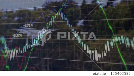 Displaying financial chart overlaying woodland, with candlestick bars and trend lines Displaying financial chart overlaying woodland, with candlestick bars and trend lines 135403583