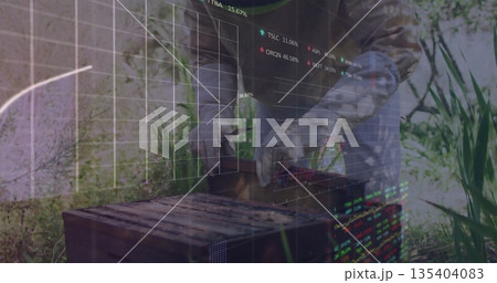 Inspecting senior beekeeper lifting frame from hive box in garden with gloves, stock-ticker overlay 135404083