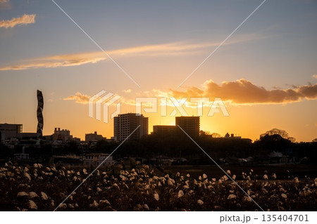 那珂川河川敷から見た水戸の夕景 那珂川河川敷から見た水戸の夕景 135404701