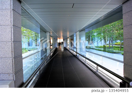 ホテルの玄関の吹き抜け ホテルの玄関の吹き抜け 135404955