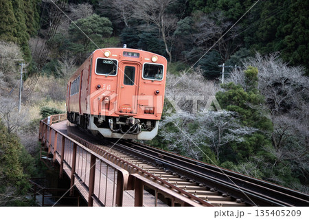 真名谷踏切 135405209