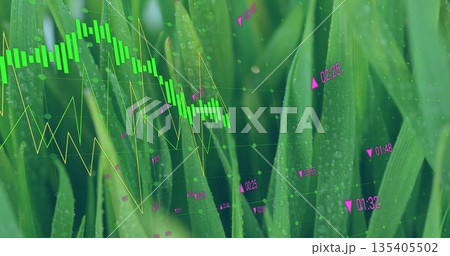 Hovering chart overlay on grass with dew, showing candlestick and line graph with magenta markers Hovering chart overlay on grass with dew, showing candlestick and line graph with magenta markers 135405502