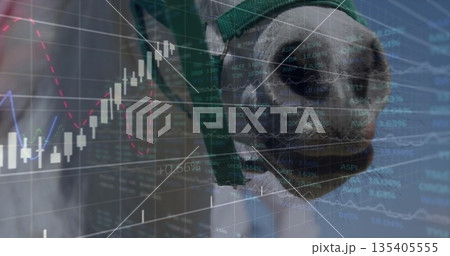 Showing horse head wearing green halter at barn stall, with candlestick chart overlays, copy space Showing horse head wearing green halter at barn stall, with candlestick chart overlays, copy space 135405555