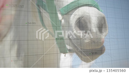 Showing horse muzzle wearing bright green halter in paddock, with grid overlay, copy space Showing horse muzzle wearing bright green halter in paddock, with grid overlay, copy space 135405560