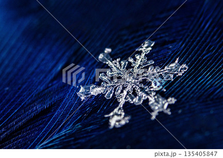 Christmas winter snowflakes background. Macro photo shot of a detailed real snowflake on dark blue feather with sharp crystal structure and fine texture. Snowflake Closeup. Copy space. Ice, frost Christmas winter snowflakes background. Macro photo shot of a detailed real snowflake on dark blue feather with sharp crystal structure and fine texture. Snowflake Closeup. Copy space. Ice, frost 135405847