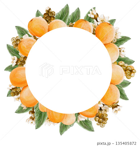 Round frame with yellow fruits. Wreath of medlar and flowers with leaves. Yellow plums. Buds and petals. Summer harvest. Watercolor illustration. Hand drawn. Isolated from the background.  135405872