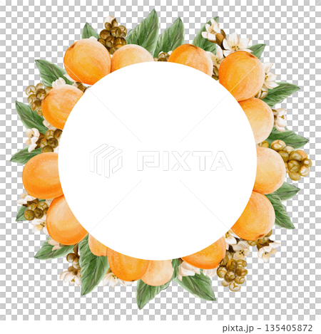 Round frame with yellow fruits. Wreath of medlar and flowers with leaves. Yellow plums. Buds and petals. Summer harvest. Watercolor illustration. Hand drawn. Isolated from the background.  135405872