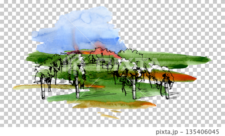 Natural landscape with cultivated grapevines, trees in agricultural rows. Isolated hand painted illustration in watercolor and ink for environmentally friendly branding, sustainable farming campaigns. 135406045