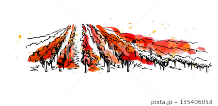 Watercolor and ink landscape of cultivated fields, rural life. Isolated hand drawn illustration for agriculture industry design, food market graphics, sustainability and natural product identity. Watercolor and ink landscape of cultivated fields, rural life. Isolated hand drawn illustration for agriculture industry design, food market graphics, sustainability and natural product identity. 135406058