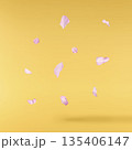 Beautiful blooming of delicate pink Sakura flowers falling in the air, isolated. Zero gravity or levitation spring flowers conception, high resolution image 135406147