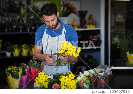 Male florist trimming yellow daisies using shears at wood counter beside shelves with potted plants Male florist trimming yellow daisies using shears at wood counter beside shelves with potted plants 135407059