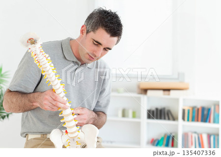 Adult male healthcare professional examining and adjusting anatomical spine model in treatment room Adult male healthcare professional examining and adjusting anatomical spine model in treatment room 135407336