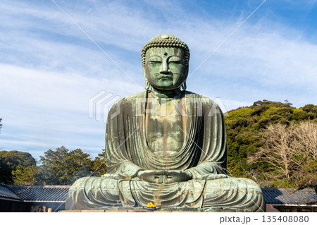 鎌倉大仏の一望 鎌倉大仏の一望 135408080