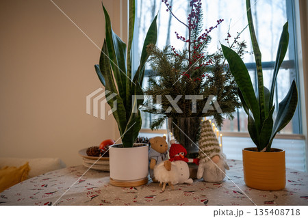 Cozy winter home still life with houseplants handmade toys and festive Christmas table decor Cozy winter home still life with houseplants handmade toys and festive Christmas table decor 135408718