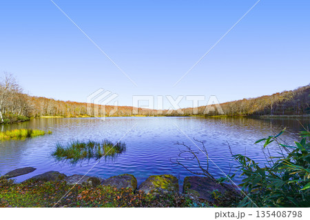 蓮華白池（糸魚川市） 135408798