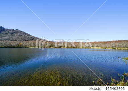 蓮華白池（糸魚川市） 135408803