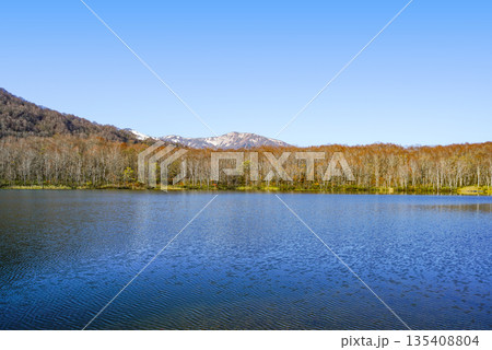 蓮華白池（糸魚川市） 135408804