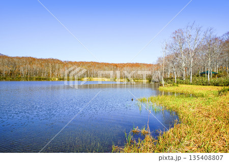 蓮華白池（糸魚川市） 135408807