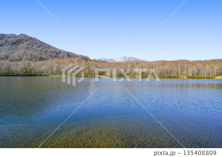 蓮華白池（糸魚川市） 135408809