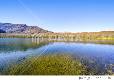 蓮華白池（糸魚川市） 135408810