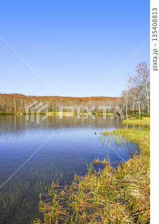 蓮華白池（糸魚川市） 135408813