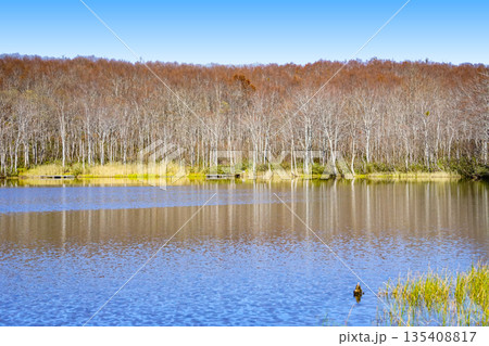 蓮華白池(糸魚川市) 蓮華白池(糸魚川市) 135408817