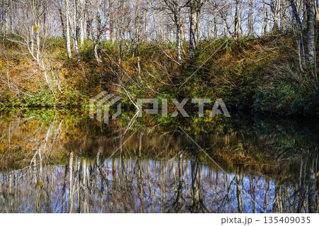 五月池（糸魚川市） 135409035