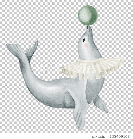 Circus seal balancing a ball watercolor illustration. Clipart of carnival sea lion for children illustrations, nursery wall art, birthday posters, baby shower invitation cards. Art in pastel colors. 135409108