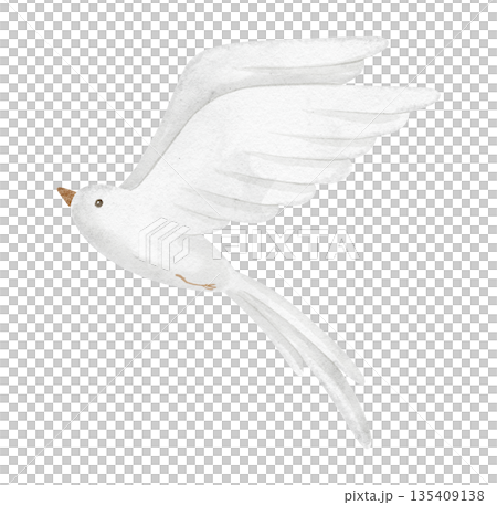 Bird watercolor illustration with extended wings. Drawing of animal in pastel colors for nursery design or baby shower greeting cards or childish invitations. Clipart on isolated background for kids. 135409138