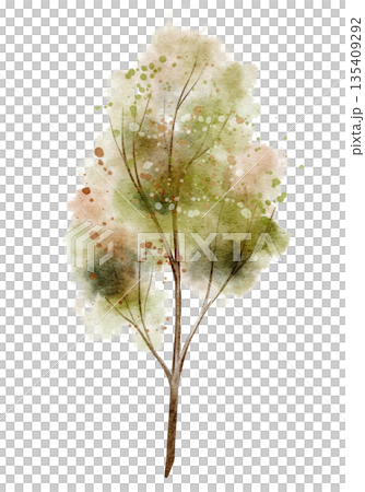 Watercolor Tree with green and orange crown on isolated background. Art of forest element for natural decorations or seasonal autumn and summer designs. Illustration of fall plant. Watercolor Tree with green and orange crown on isolated background. Art of forest element for natural decorations or seasonal autumn and summer designs. Illustration of fall plant. 135409292