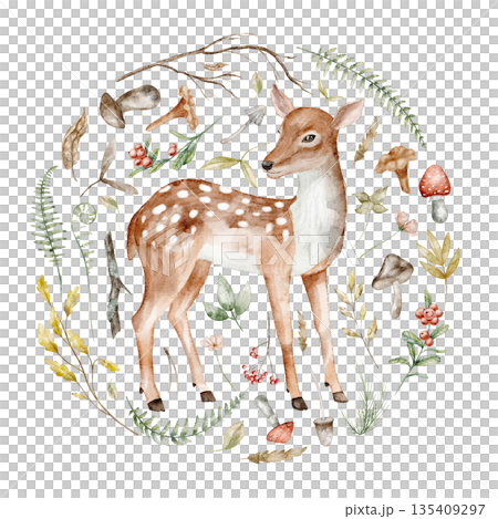 Fawn Watercolor illustration. Drawing of forest Deer with mushrooms, leaves and berries. Art of woodland animal with ferns and branches in circle composition for Baby invitations or greeting cards. 135409297