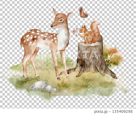 Watercolor Fawn and Squirrel on a stump with butterfly and autumn flora. Illustration of woodland animals for nursery poster. Drawing of Deer in fall Forest for baby greeting cards or invitations. 135409298