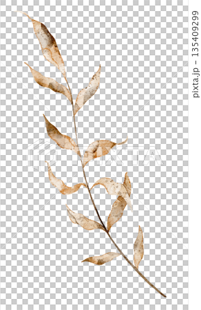 Watercolor branch with fall dried leaves for autumn wedding invitations or greeting cards. Illustration of twig on isolated background for woodland themes and rustic decorations. 135409299