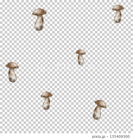 Watercolor seamless Pattern of boletus mushrooms on isolated background. Illustration of backdrop with edible woodland fungus for autumn fabric prints, seasonal wrapping paper or textile design. Watercolor seamless Pattern of boletus mushrooms on isolated background. Illustration of backdrop with edible woodland fungus for autumn fabric prints, seasonal wrapping paper or textile design. 135409300
