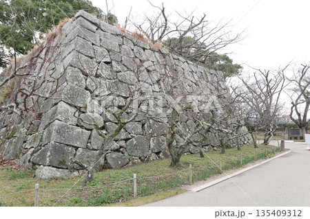 2024年・福岡・福岡市・風景・中央区城内・城・福岡城跡・其の三十一 135409312