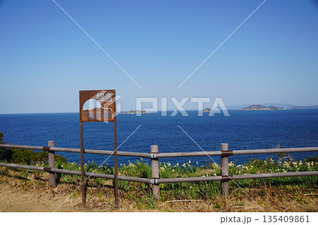 軍艦島が見える水仙の丘 軍艦島が見える水仙の丘 135409861