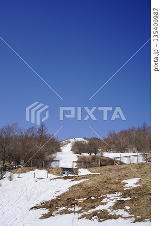 雪の積もった公園 雪の積もった公園 135409987