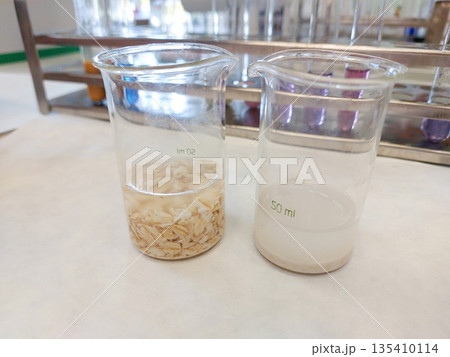 Laboratory containers with nutrient medium prepared for biological experiment and insect culture research before drosophila breeding in genetics education 135410114