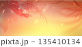 Tropical summer background with blurred palm leaf 135410134
