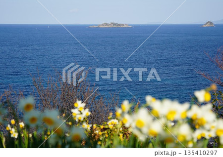 水仙の丘からのぞむ軍艦島 135410297