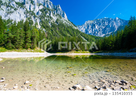 Gruner See, Austria Peaceful mountain view with famous green lake in Styria. Turquoise green color of water. Travel destination 135410355