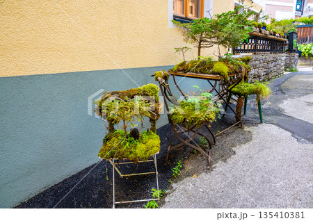 Outdoor old chair and furniture covered big green plants. Outdoor old chair and furniture covered big green plants. 135410381