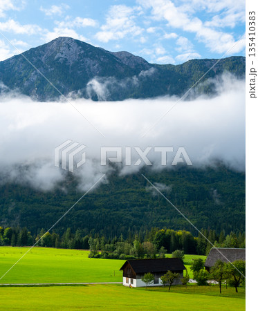 Austrian Alps and beautiful meadow with small farm hut. Morning weather. Big cloud and mist above the meadow. Austrian Alps and beautiful meadow with small farm hut. Morning weather. Big cloud and mist above the meadow. 135410383