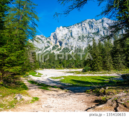 Gruner See, Austria Peaceful mountain view with famous green lake in Styria. Turquoise green color of water. Travel destination 135410633