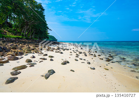 View of beautiful tropic beach at Ko Phi Phi islands, Thailand. White sand with green forest, palms and turquoise water. Summer weather, concept of vacation in paradise. 135410727