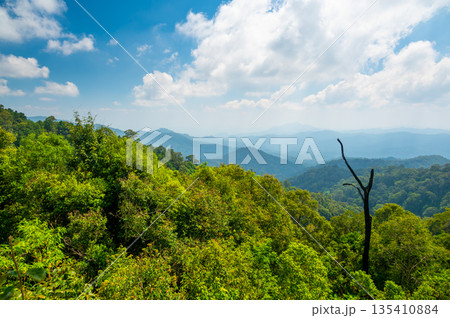 Panoramatic view of Kew Fin viewpoint near the Mae Kampong village and Chiang Mai city, Thailand. View of mountains and hills in sunny day. 135410884